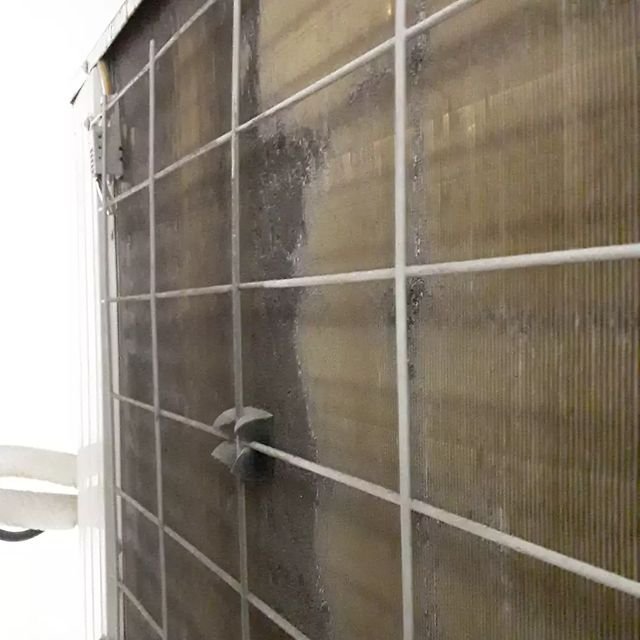 311011775_628887672203236_5461923060289609369_n