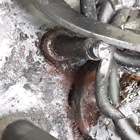 329362208_513181494264796_4554220947281062507_n